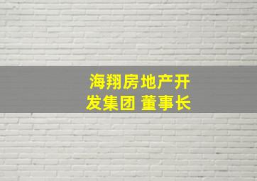 海翔房地产开发集团 董事长